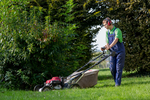 Entreprise adaptée Le Willerfeld